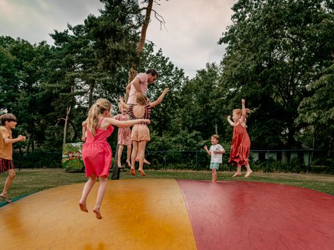 Vakantiepark Westerbergen - De Wolden - Image N°2